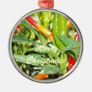 Merry Chritmas Chili Pepper Ornament