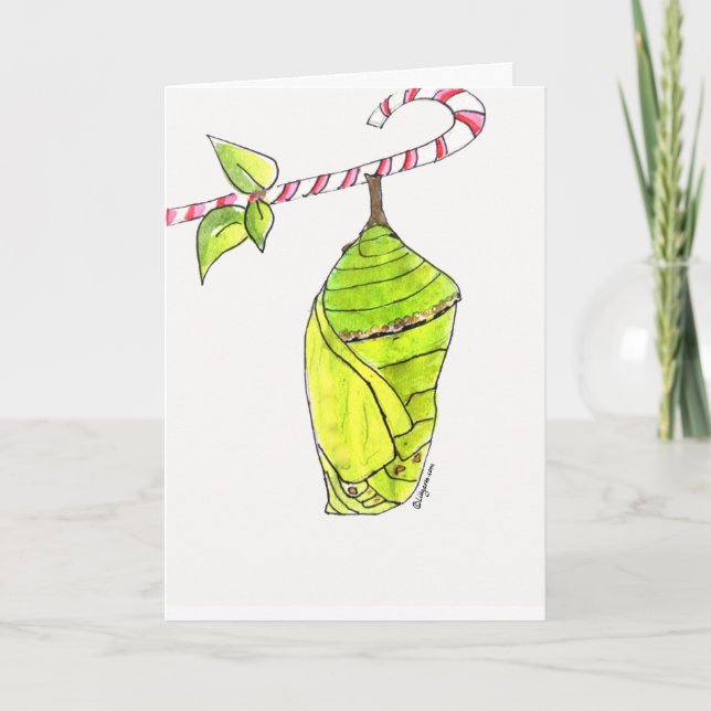 Merry Chrysalis Holiday Card (Front)