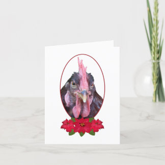 Merry Clucking Christmas Chicken Poinsettia Holiday Card
