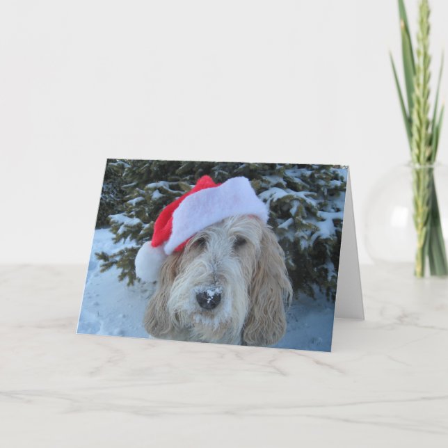 Merry GBGV Christmas Holiday Card (Front)