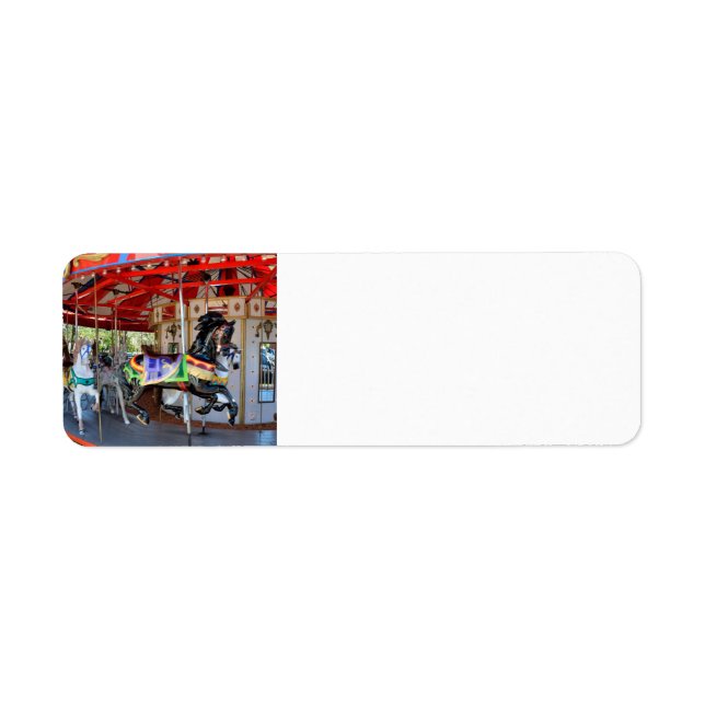 Merry-Go-Round in Motion (Front)