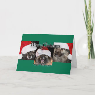 Merry Keesie Christmas! Holiday Card