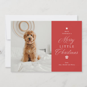 Merry Litte Christmas Pet Photo Flat Holiday Card