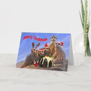 Merry Meerkats Christmas Card