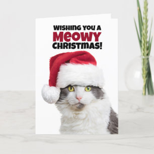 Merry Meowy Christmas and Purr-fect New Year Cat Holiday Card