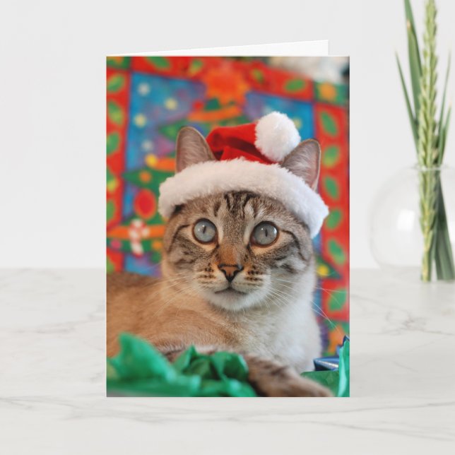 Merry Meowy Christmas from Kitty Santa! Holiday Card (Front)