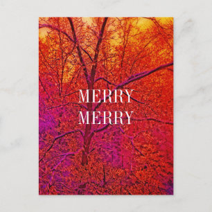 MERRY MERRY SNOW SCENE HOLIDAY POSTCARD
