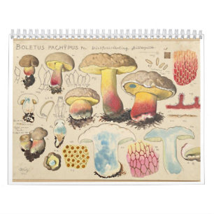 MERRY MUSHROOMS Calendar