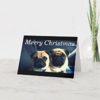 Merry pug xmas