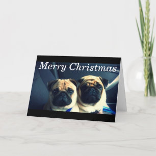 Merry pug xmas holiday card
