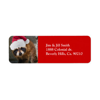 Merry Raccoon Christmas