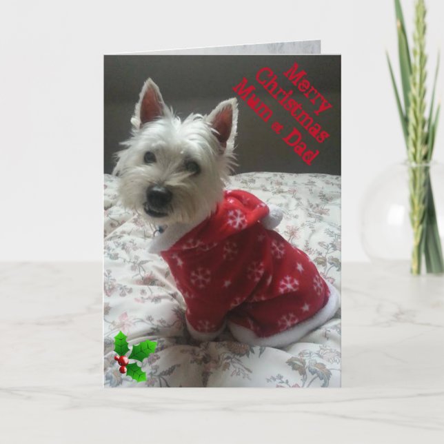 Merry Westie Christmas Card Mum & Dad (Front)