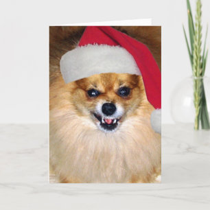 "Merry Woofing Christmas" Pomeranian Santa Card