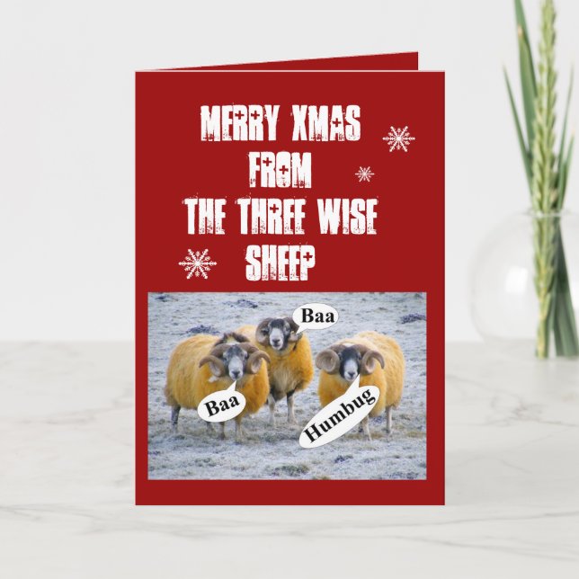 Merry Xmas from the three wise sheep Holiday Card (Front)