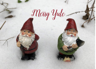 Merry Yule Holiday Card