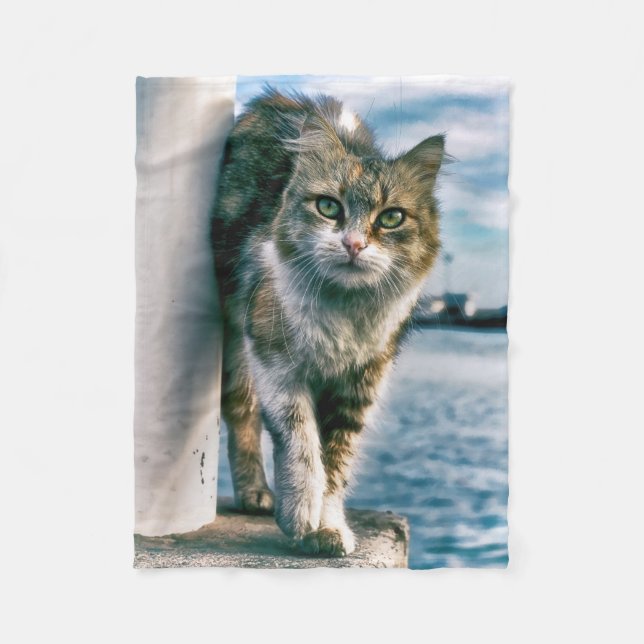 Merveilleuse Belle couverture en polaire de chat (Devant)