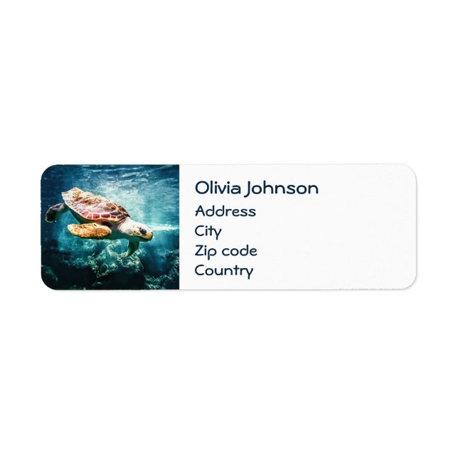 Merveilleuse Tortue de mer Océan Vie Turquoise Mer (Devant)