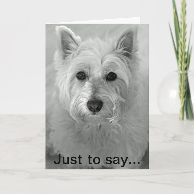 Merveilleux chien Westie - Carte Désolé (Devant)