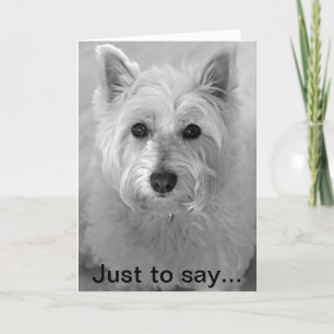 Merveilleux chien Westie - Carte Désolé