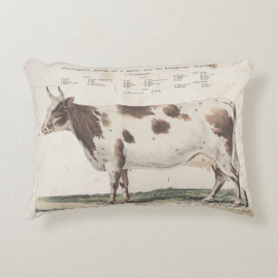 Merveilleux et beau coussin de vache vintage.