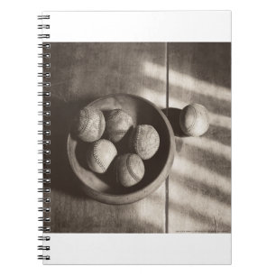 MES01BWD2 Baseball Bowl.tif Notebook