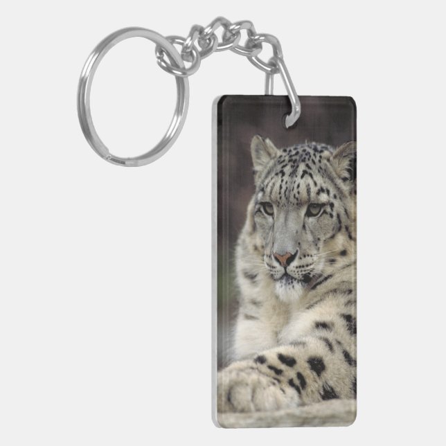 Mes clés… (Devant gauche)