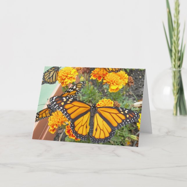 Mes papillons Monarque - Cartes de voeux (Devant)