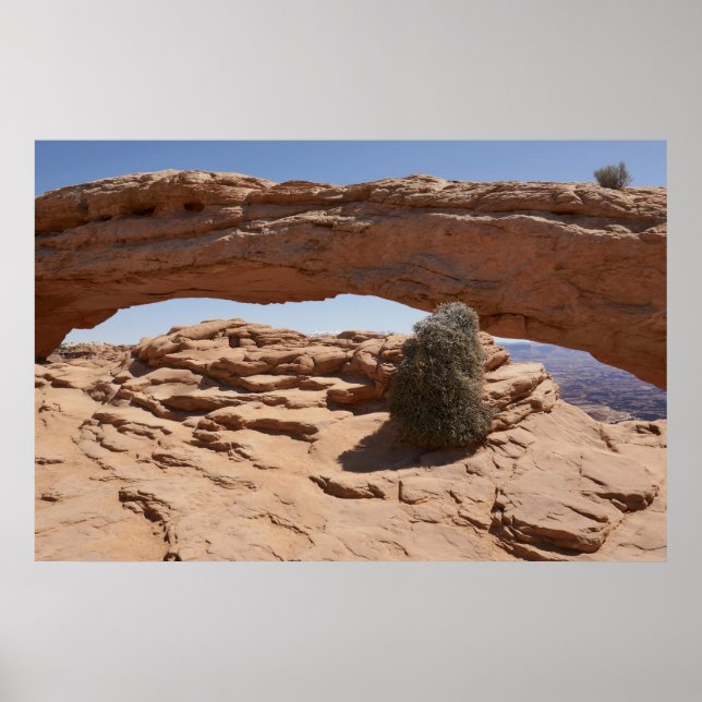 Mesa Arch and Tumbleweed at Canyonlands Poster (Front)