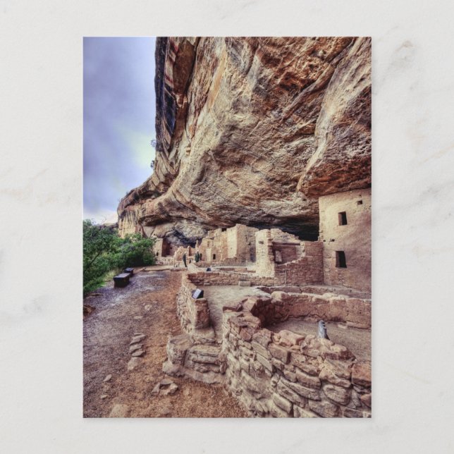 Mesa Verde Cliff Dwellings Postcard (Front)