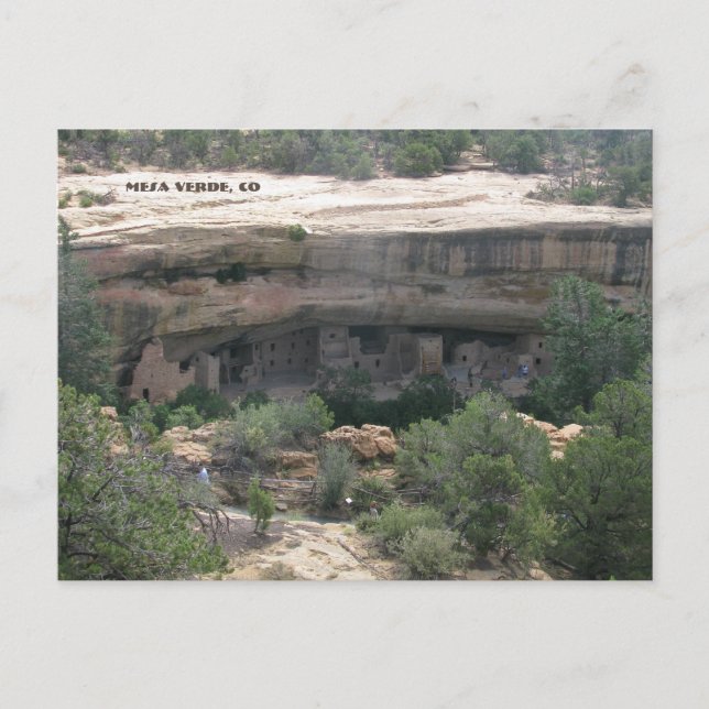 Mesa Verde, CO Postcard (Front)