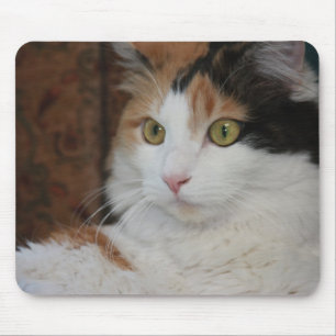 Mesmerized Feline Mouse Pad