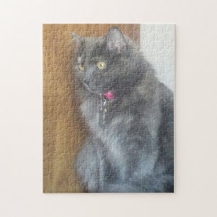 Mesmerized Grey Cat Jigsaw Puzzle