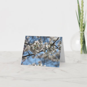 Mesmerizing Cherry Blossom Greeting Card