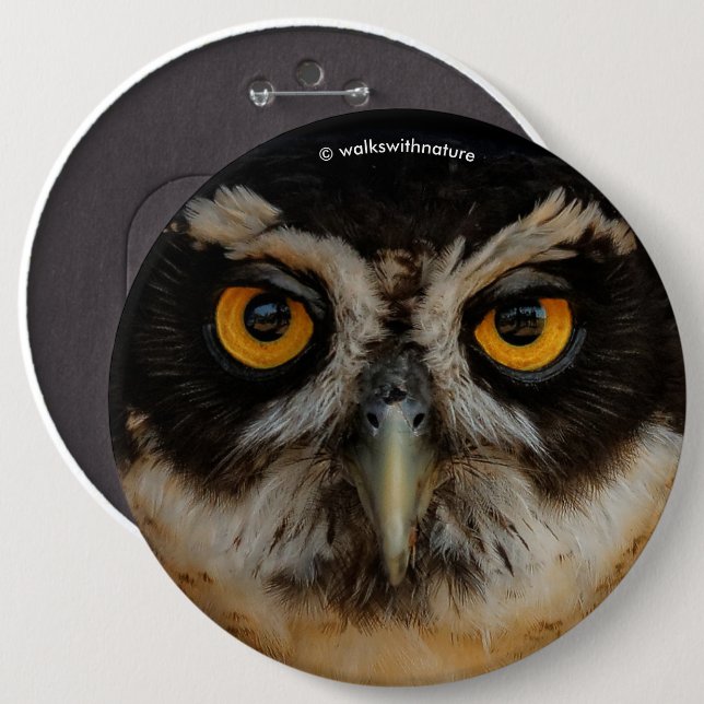 Mesmerizing Golden Eyes of a Spectacled Owl 6 Inch Round Button (Front & Back)