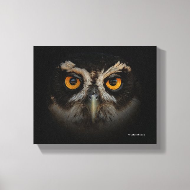 Mesmerizing Golden Eyes of a Spectacled Owl Canvas Print (Front)