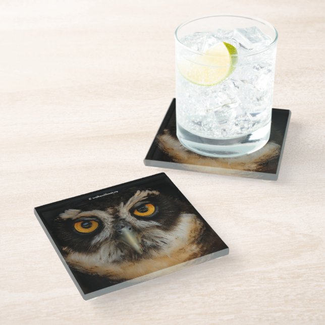 Mesmerizing Golden Eyes of a Spectacled Owl Glass Coaster (Angled)