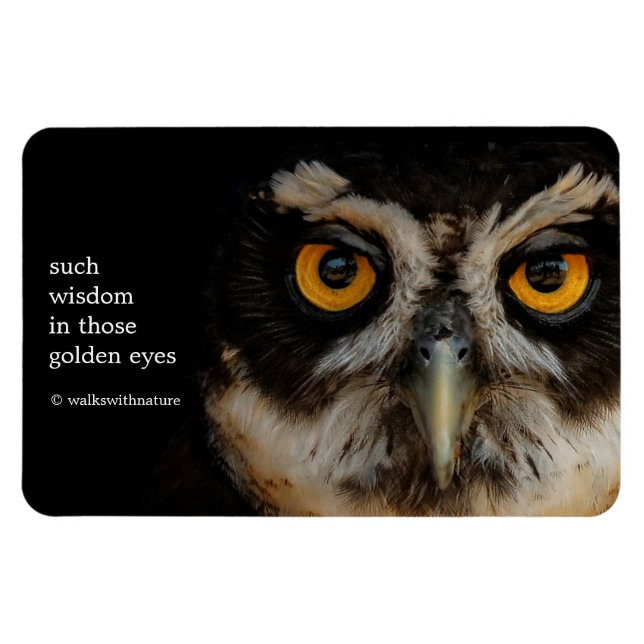 Mesmerizing Golden Eyes of a Spectacled Owl Magnet (Horizontal)