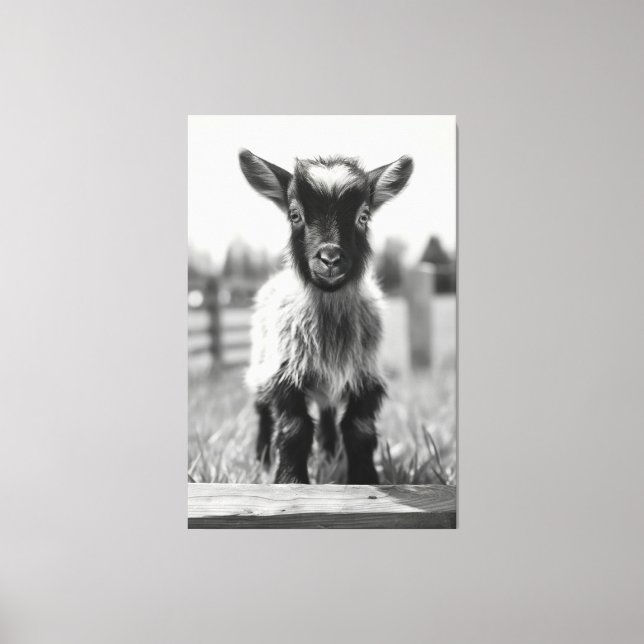Mesmerizing Monochromatic Baby Goat Portrait Canvas Print (Front)