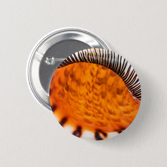 Mesmerizing seashell 2 inch round button (Front & Back)