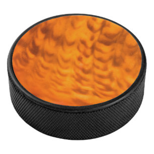 Mesmerizing seashell hockey puck