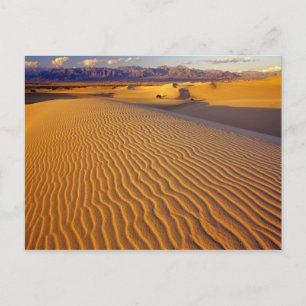Mesquite Flat Sand dunes in Death Valley Postcard