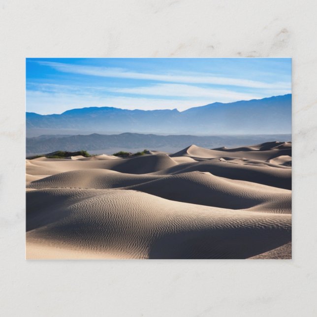 Mesquite Flat Sand Dunes Postcard (Front)