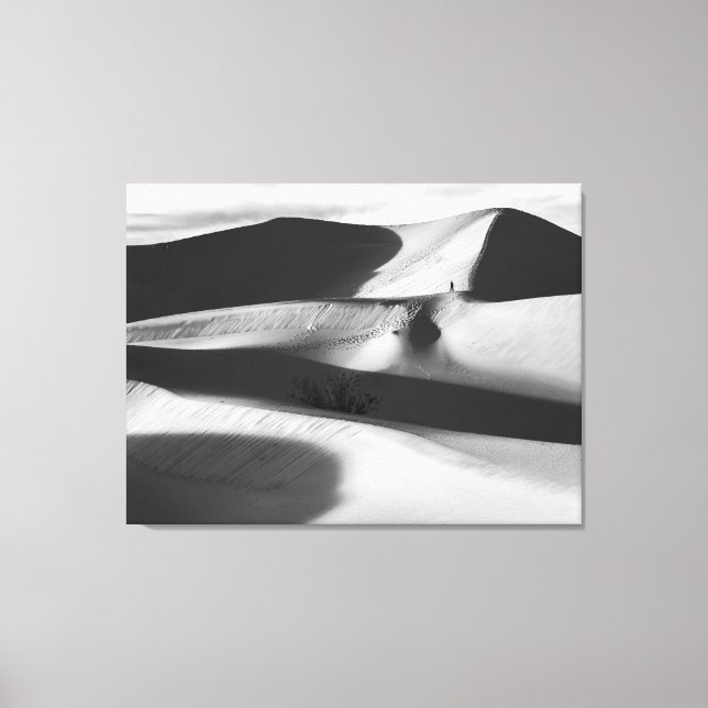 Mesquite Sand Dunes Canvas Print (Front)