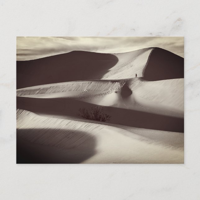 Mesquite Sand Dunes Death Valley Postcard (Front)