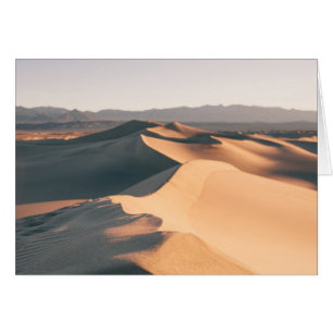 Mesquite Sand Dunes in Death Valley