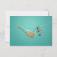 Message Bottle and Shrimp