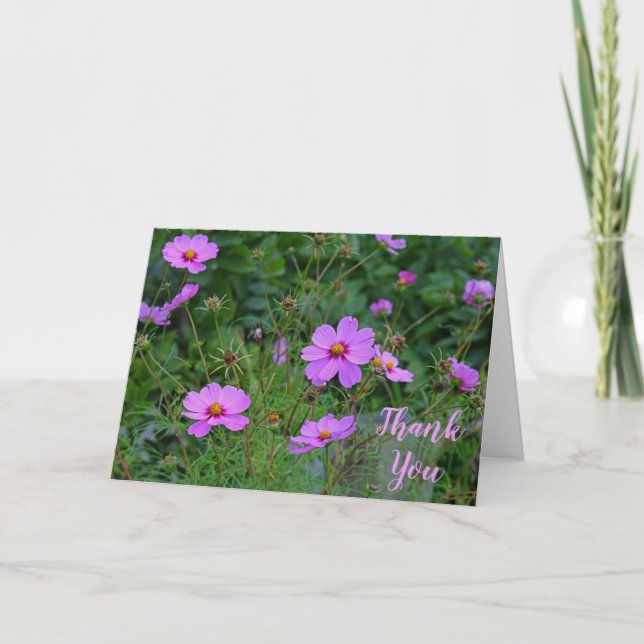 Message de Merci de Fleur de Cosmos Rose (Devant)