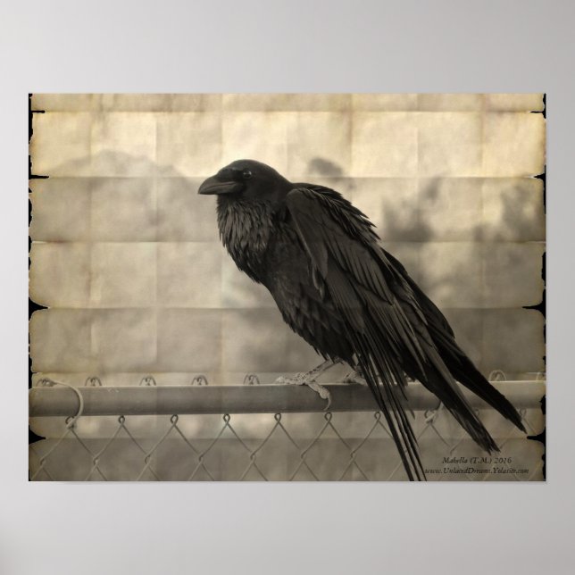 Messenger (Vintage) Poster (Front)