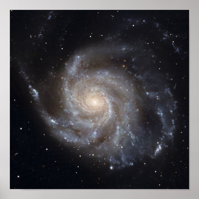 Messier 101, the Pinwheel Galaxy Poster (Front)