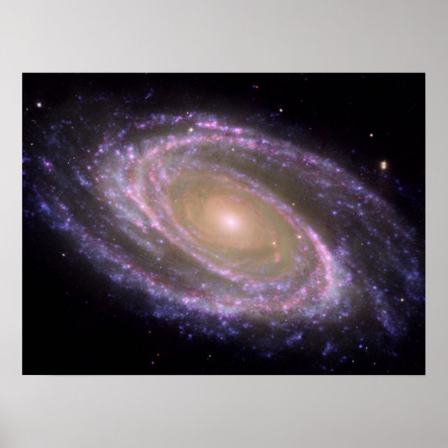 Messier 81 Spiral Galaxy Poster (Front)